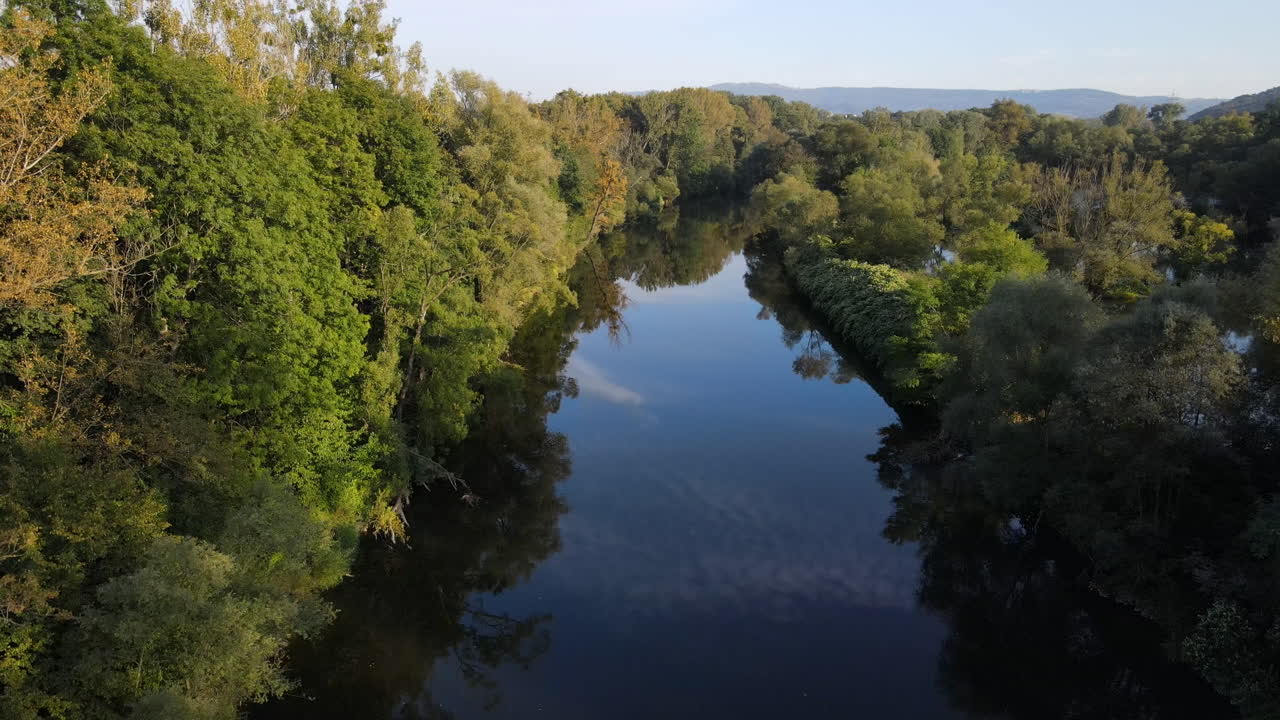 Sobrevoo de rio cercado por árvores ao redor do lago e muita natureza