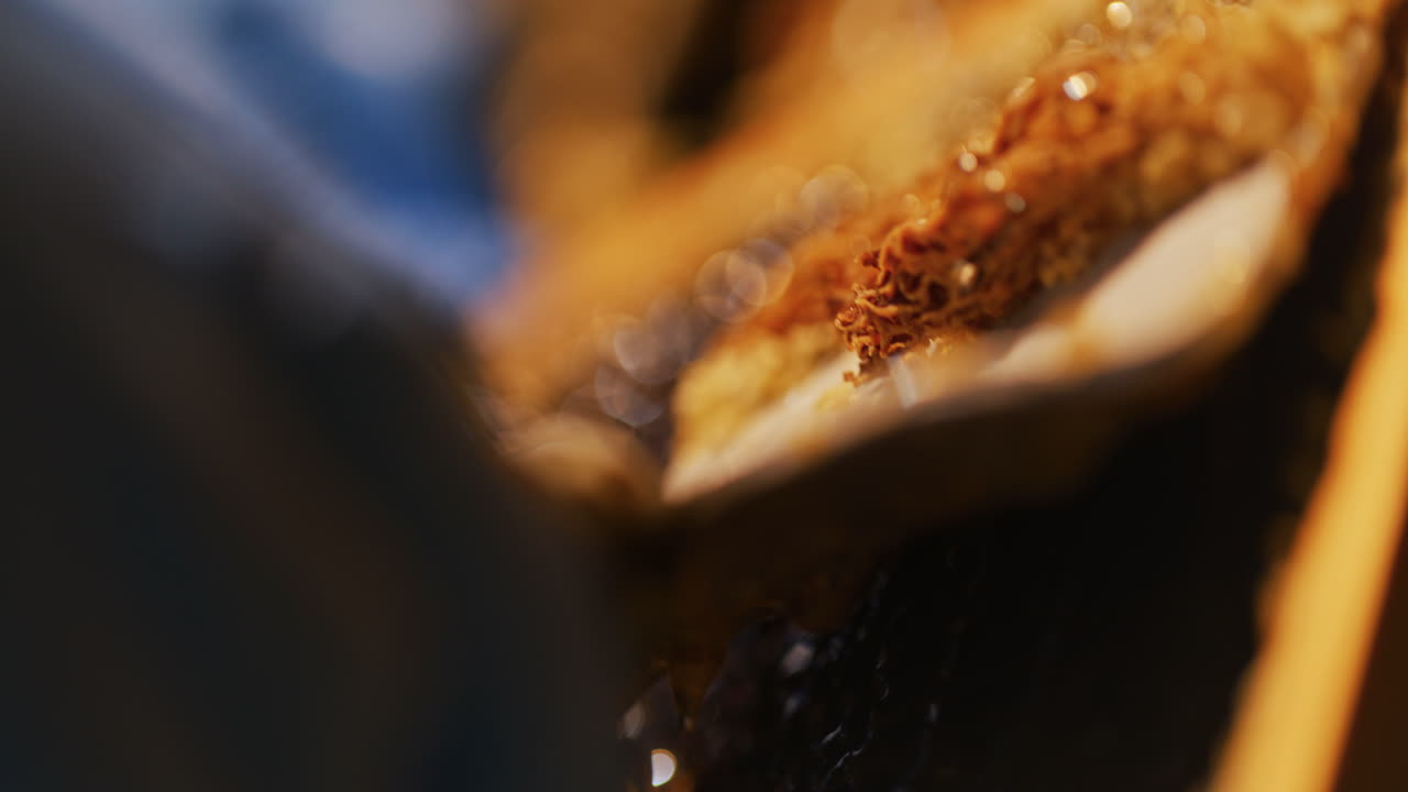 el apicultor quita la cera y produce miel