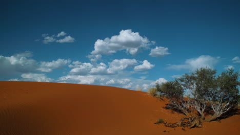 Lapso-De-Tiempo-De-Las-Nubes-Reunidas-Sobre-Una-Duna-Kalahari-Roja-Durante-La-Tarde