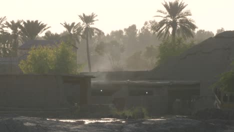 Aerial-shot-of-water-channel-in-the-side-of-road-with-palm-tree-forest