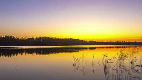 reflejo perfecto en el espejo del amanecer dorado sobre el lago con un velero