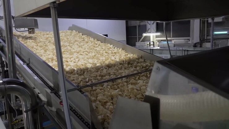 Close up shot chips are fried and poured into the packaging process