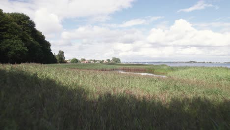 Aerial-view-of-Tønballe-forest-near-Snaptun-in-Denmark