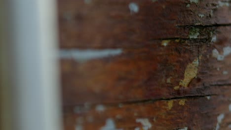 la parte trasera de un letrero de madera (de cerca)