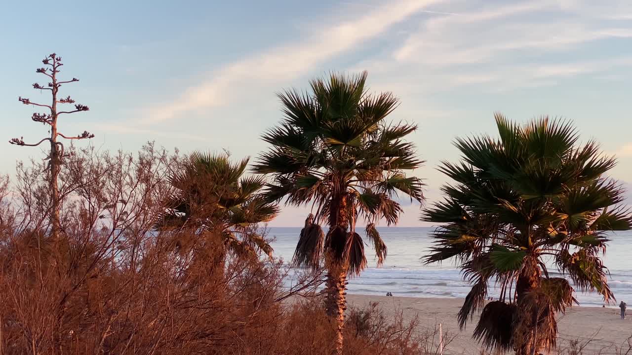팜 골목 클로즈업, 아래쪽 보기 여행