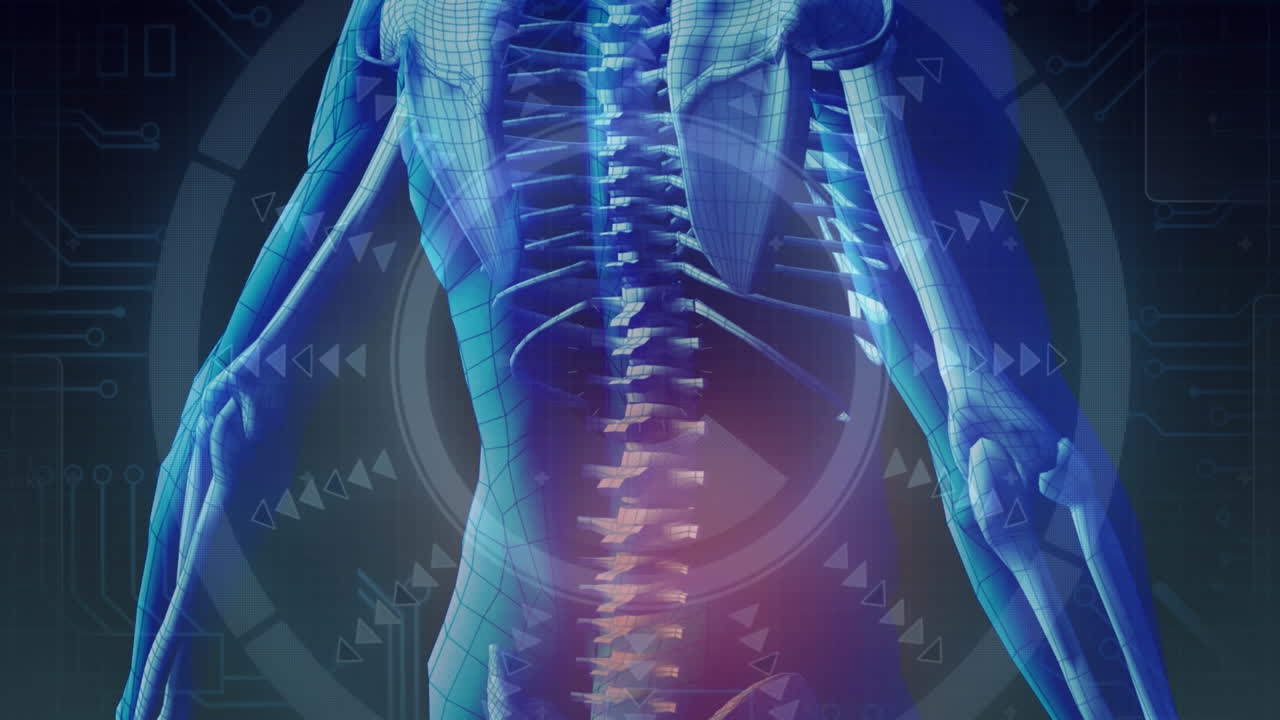 인간 몸 위의 스 스캔의 애니메이션