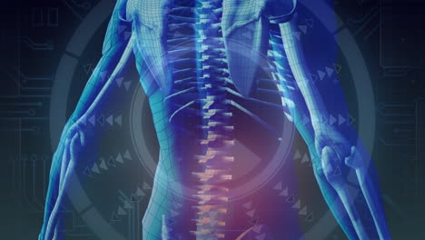 animación de escaneo de alcance sobre el cuerpo humano