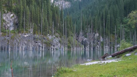 Kaindy-See-In-Kasachstan,-Auch-Als-Birkensee-Oder-Unterwasserwald-Bekannt