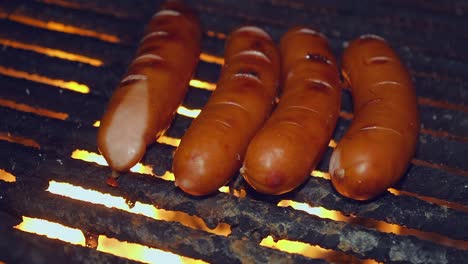 food: close-up brat sausages grill on open fire on dark night in camp