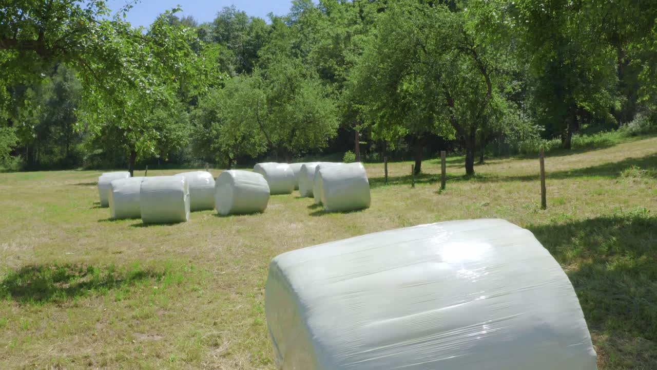 Many round wrapped white straw, wheat and hay rolls in natural farmland in green countryside, low overhead aerial backward