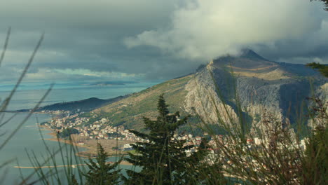 view from a croatian mountain above a small village and the sea with a tree in foreground