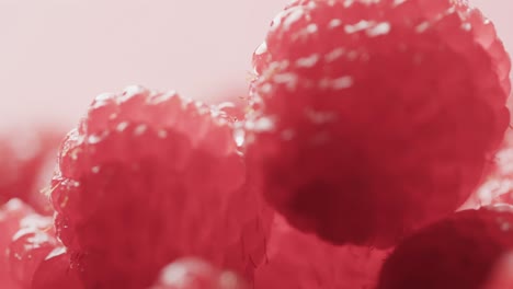 micro video of close up of raspberries with copy space