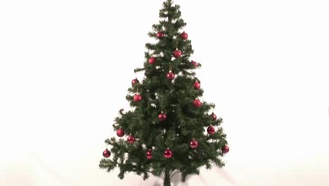 lapso de tiempo de decoración del árbol de navidad