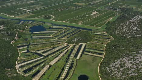 neretva valley, flying over agriculture plantation fields in delta of river neretva in south croatia - aerial drone view