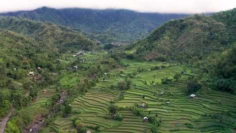 vista desde un avión no tripulado de las remotas terrazas de arroz de las montañas verdes y exuberantes de bali, indonesia