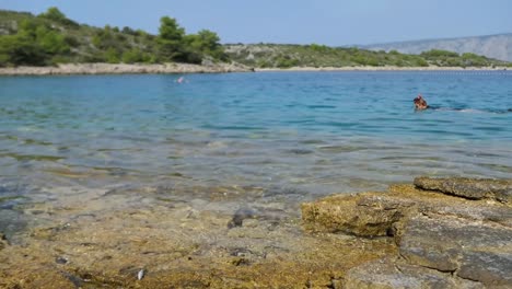 Woman-snorkeling-on-summer-holiday,-rocky-shoreline,-Adriatic-Sea