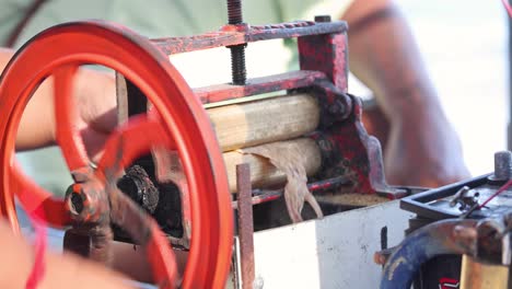 hand-operated machine flattening squid for cooking