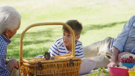 multi-generation family relaxing in the park