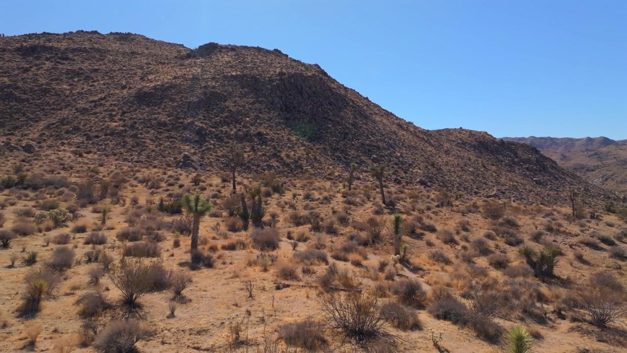 Árvores de Yucca Parque Nacional Joshua Tree Califórnia drone aéreo Condado de San Fernando paisagem desértica de Mojave Colorado pico de montanha Dunas de Kelso Pinto Basin céu azul tarde ensolarada movimento de panorâmica para cima e para frente