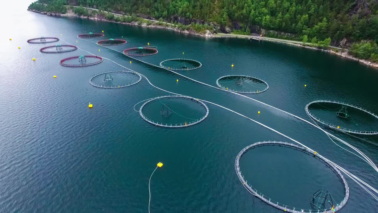 노르웨이에서 연어  ⁇ 시를 하는 공중 촬영