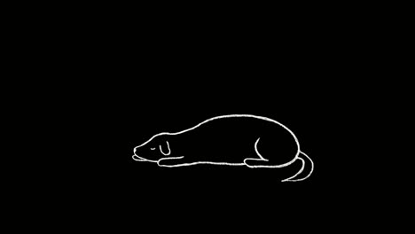 cute dog sleeping deeply, drawn 2d animation on black background