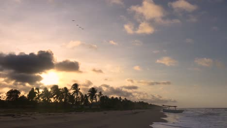 Silhouette-of-palm-trees-on-a-Caribbean-coastline-during-sunset