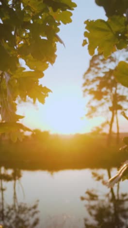 puesta de sol sobre un lago con árboles
