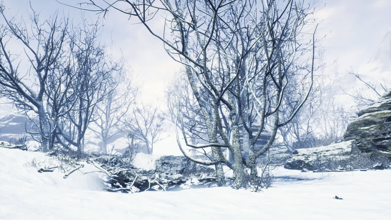 Snowy winter landscape with bare trees and rocky terrain in a quiet setting