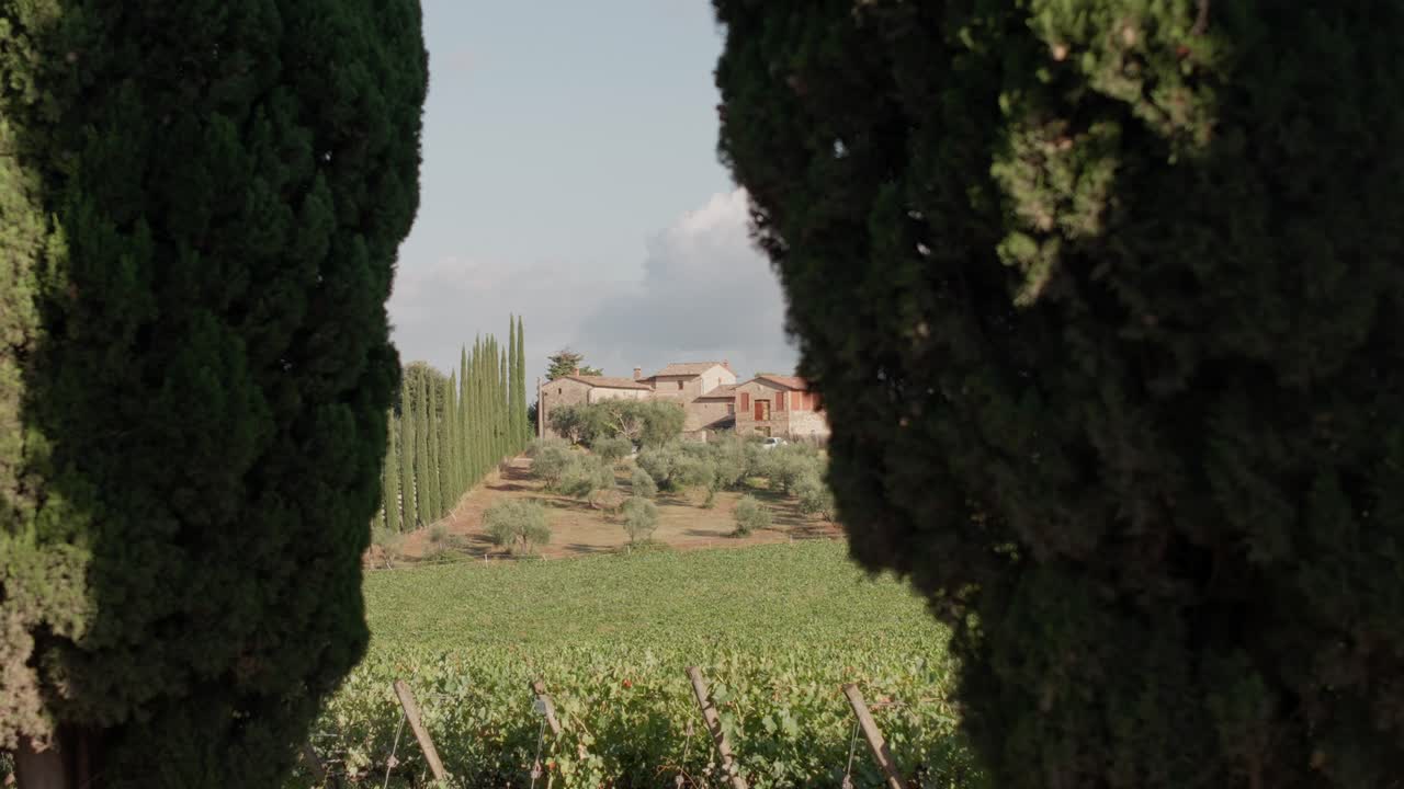 Rack focused shot of cypress trees framing a villa in the countryside of Tuscany, Italy.
