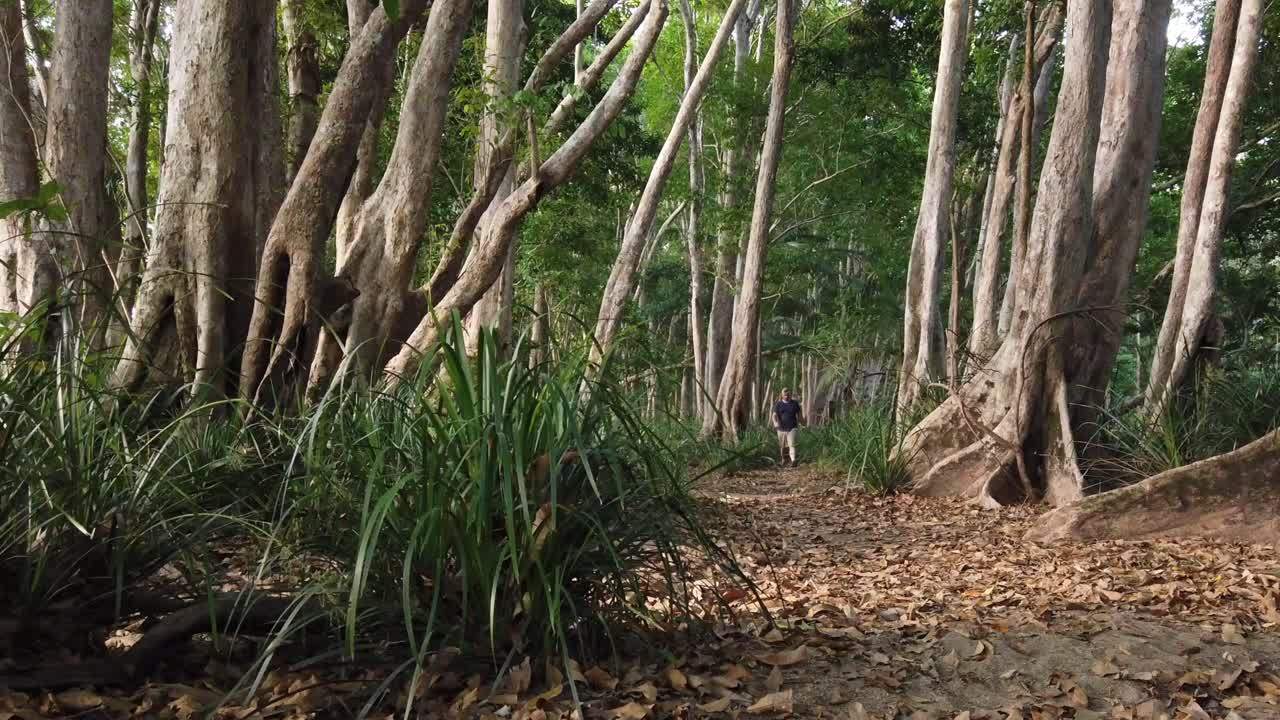 hombre caminando hacia y más allá de la cámara en cámara lenta en un sendero de arbusto