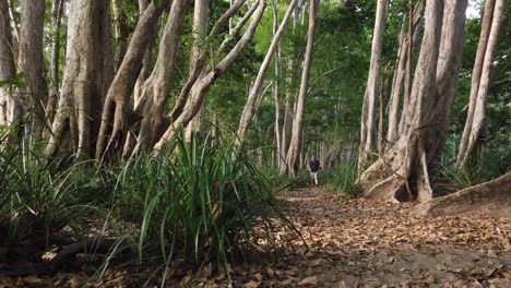 man-walking-towards-and-past-camera-in-slow-motion-on-a-bush-trail