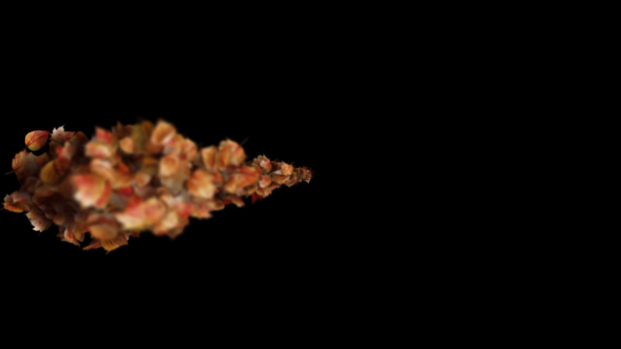 Autumn Leaves Transition on black background - Leaf Particles Reveal Element
