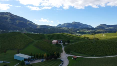 Aerial-high-altitude-fly-over-vineyards-with-mountains-in-background