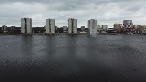 Aerial-view-of-city-buildings-in-the-background-of-a-like-with-countless-white-birds-on-the-lake-surface