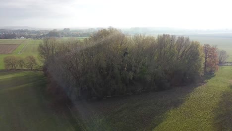 Ich-Fotografiere-Einen-Kleinen-Wald-In-Der-Nähe-Meiner-Heimatstadt