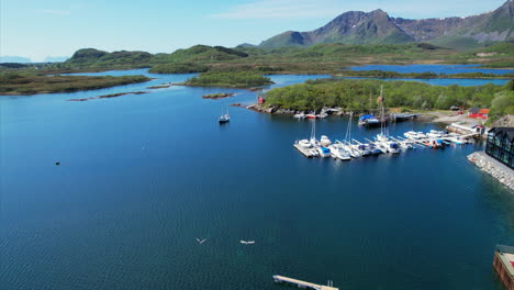 Ascending-arial-view-inside-harbor-of-Ringstad-in-Northern-Norway,-Beautiful-summer-view-in-Scandinavia,-goose-flying-underneath