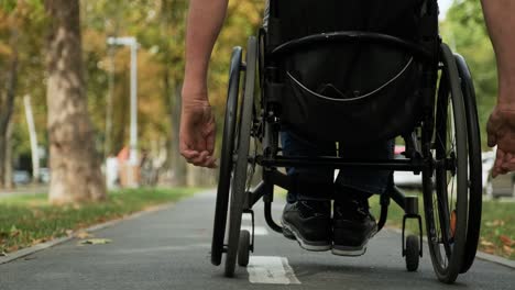 hombre con discapacidad en silla de ruedas camina por el callejón del parque