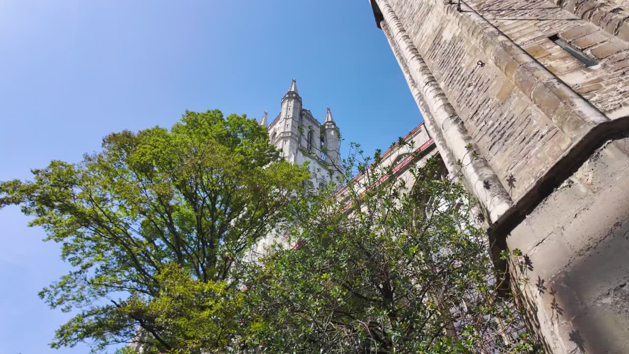 아래에서 볼 수 있는 풍경은 성 바보 대성당의 복잡한 고 양식의 첨탑이 푸른 나무 뒤에서 아져 나와 자연과 역사적인 건축물의 혼합을 보여줍니다.