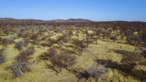 Flying-over-a-dusty-road-in-Africa