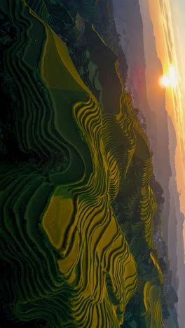 sunrise over terraced rice paddies