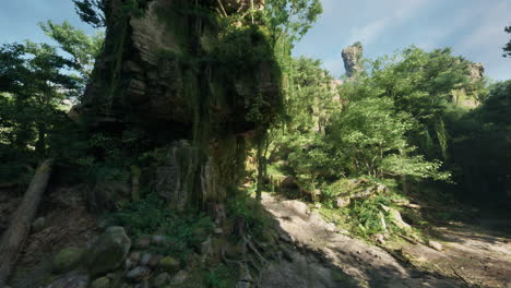 mysterious jungle path through rocks