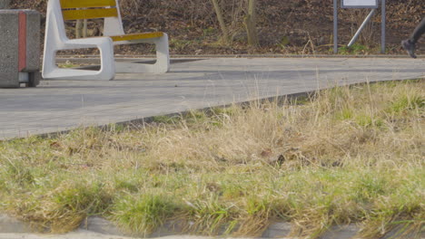 Morgenlauf-In-Begleitung-Eines-Deutschen-Schäferhundes-Auf-Einem-Freizeitweg