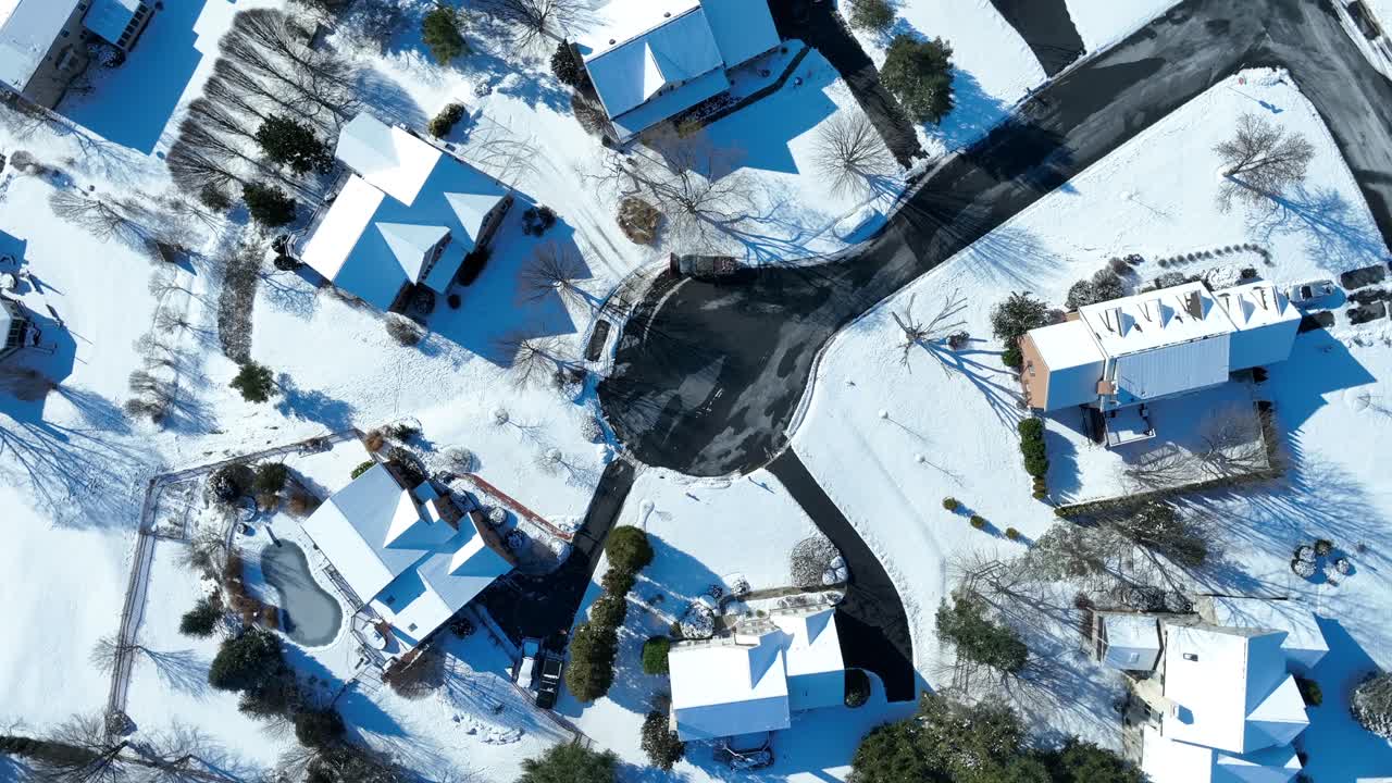 막다른 길 의 새 들 의 눈 에서 볼 수 있는 모습