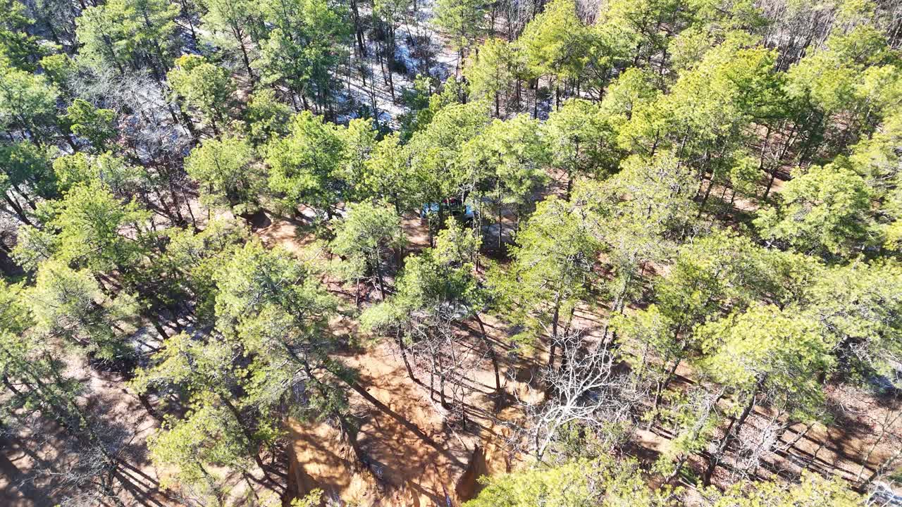 Aerial view of lush forest with green trees and dry underbrush