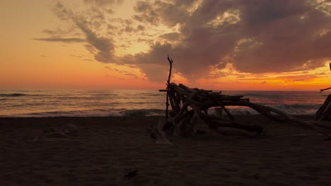 vibrant aerial drone footage of driftwood tipis at the shore of a sand beach seaside coast at maremma national park in tuscany, italy with dramatic red and yellow sunset cloud sky and ocean waves