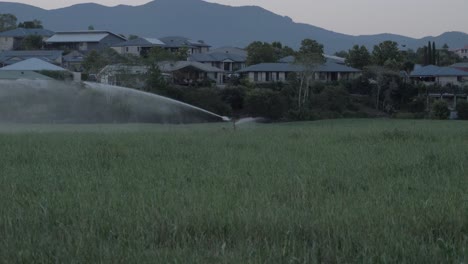 sistema de riego con rociadores en las tierras de cultivo en advertencia de monte