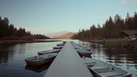 serene lakeside dock with boats