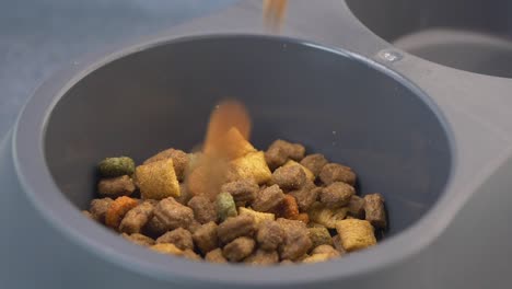 close up of dog food being poured into a bowl