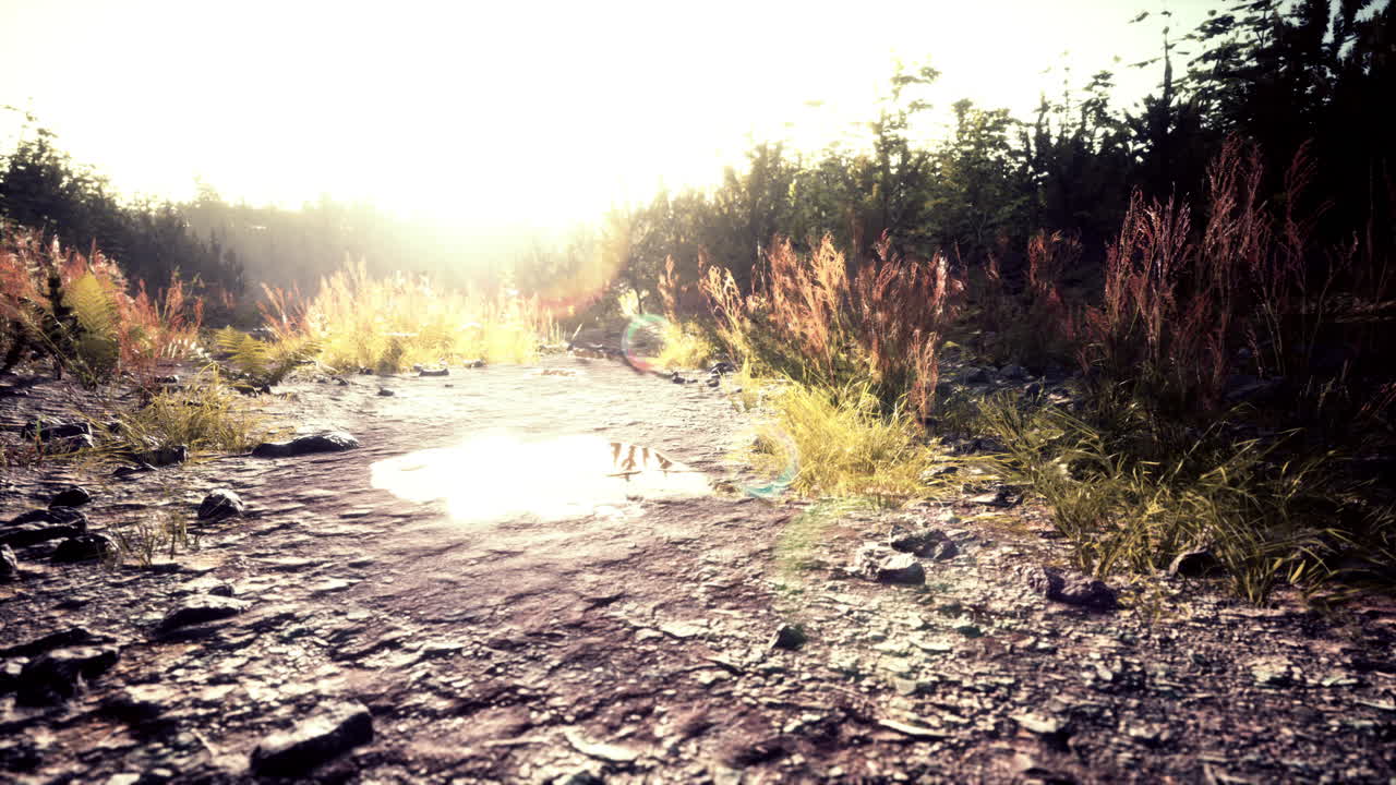 ⁇ 은 날에 가을에 필드에서  ⁇  나라 도로