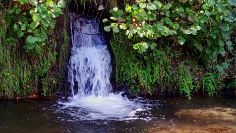 Fresh-water-waterfall-surrounded-by-vegetation-in-bright-green-and-ocher-colors